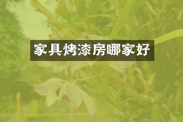 家具烤漆房哪家好