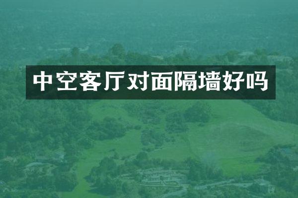 中空客厅对面隔墙好吗