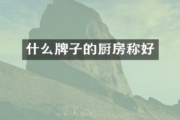 什么牌子的厨房称好