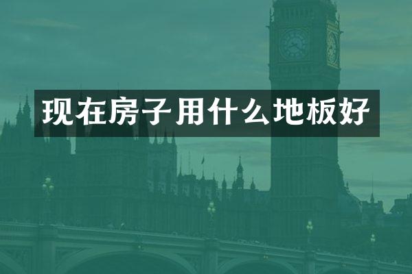 现在房子用什么地板好