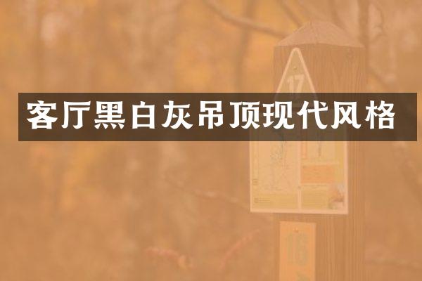 客厅黑白灰吊顶现代风格