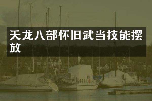 天龙八部怀旧武当技能摆放