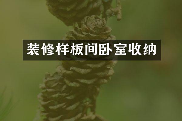 装修样板间卧室收纳