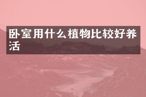 卧室用什么植物比较好养活