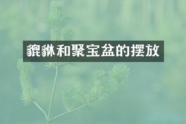 貔貅和聚宝盆的摆放