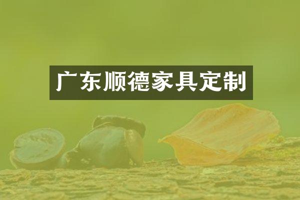广东顺德家具定制