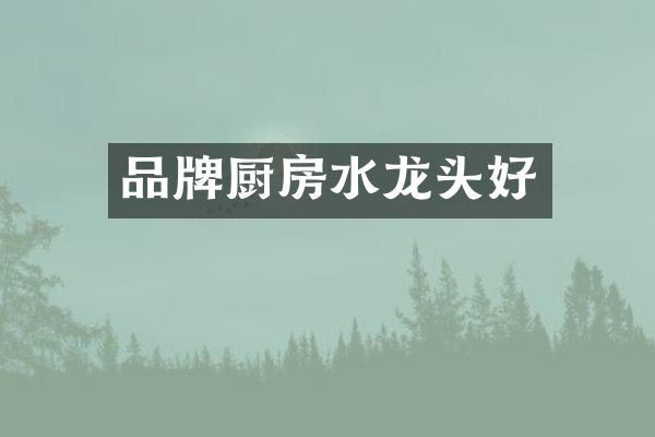 品牌厨房水龙头好