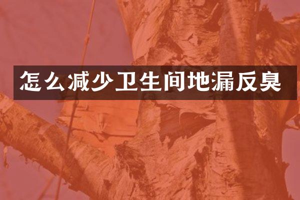 怎么减少卫生间地漏反臭