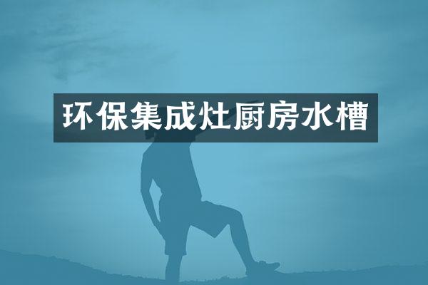 环保集成灶厨房水槽