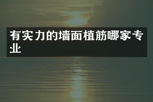 有实力的墙面植筋哪家专业