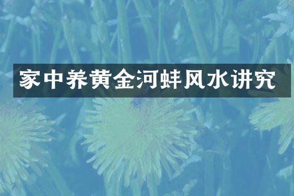 家中养黄金河蚌风水讲究