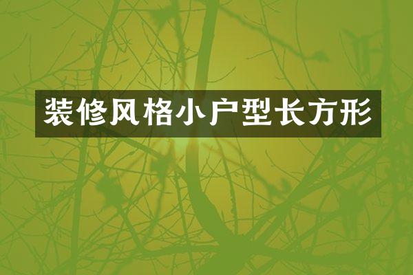 装修风格小户型长方形