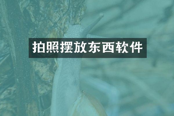 拍照摆放东西软件