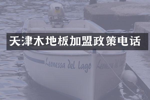 天津木地板加盟政策电话