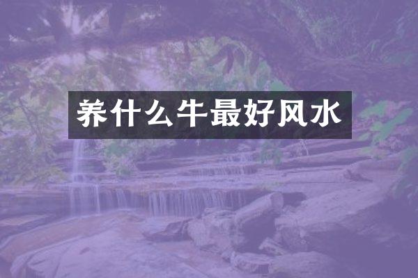 养什么牛最好风水
