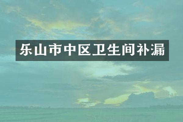 乐山市中区卫生间补漏