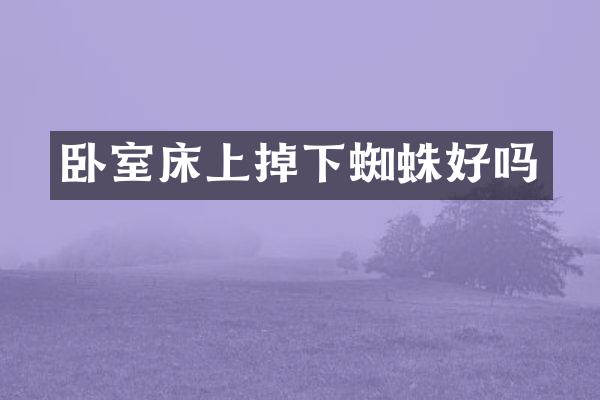 卧室床上掉下蜘蛛好吗