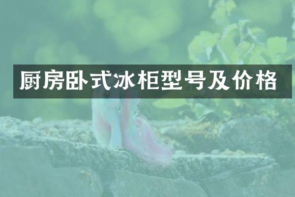 厨房卧式冰柜型号及价格