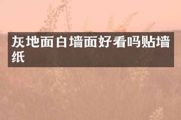灰地面白墙面好看吗贴墙纸
