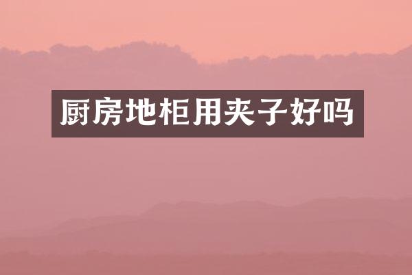 厨房地柜用夹子好吗
