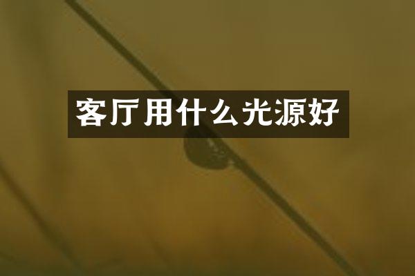 客厅用什么光源好