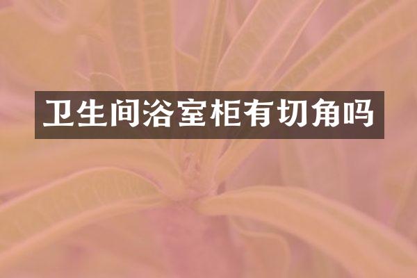 卫生间浴室柜有切角吗