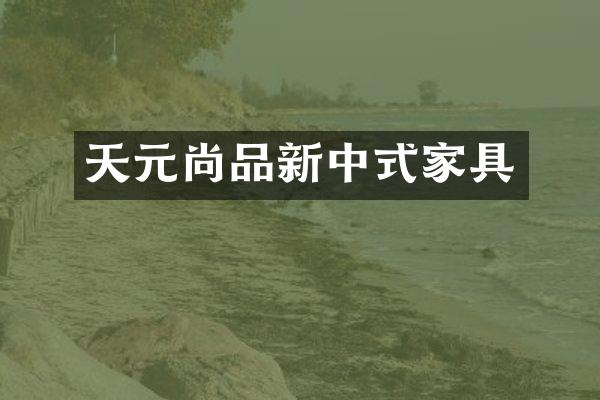 天元尚品新中式家具