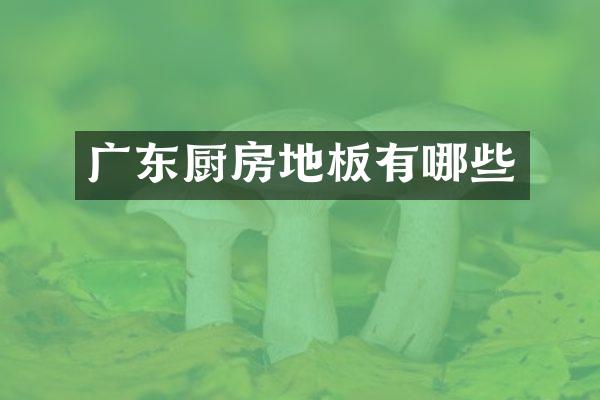 广东厨房地板有哪些
