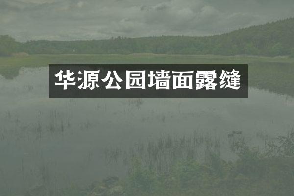 华源公园墙面露缝