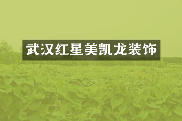 武汉红星美凯龙装饰