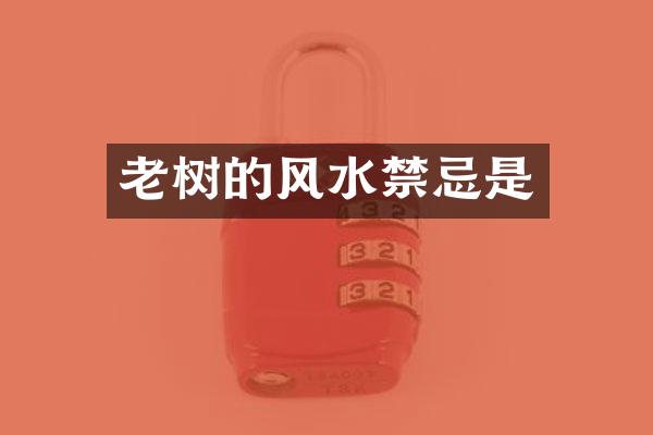 老树的风水禁忌是