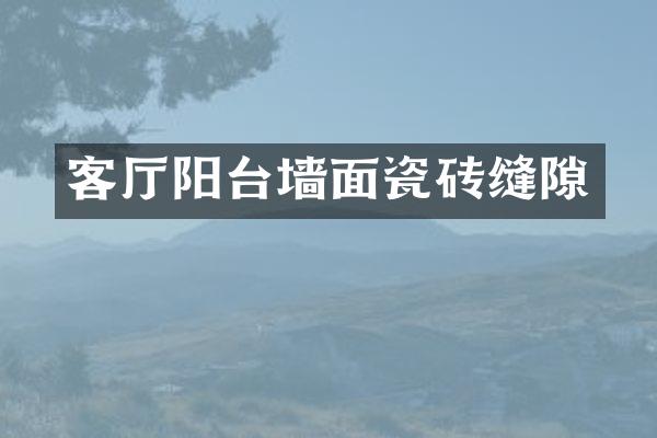客厅阳台墙面瓷砖缝隙