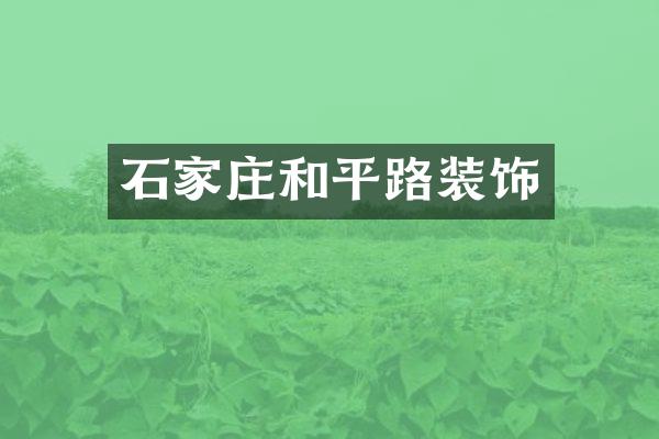 石家庄和平路装饰