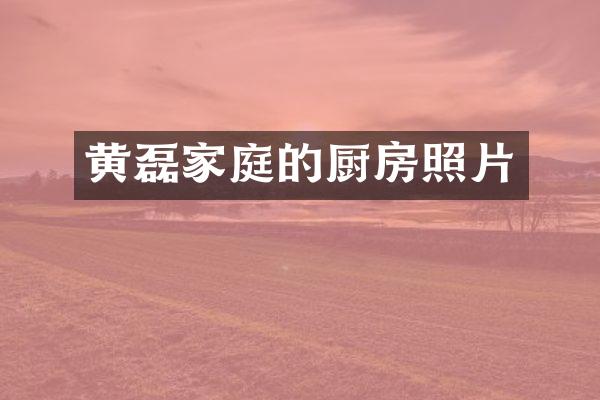 黄磊家庭的厨房照片