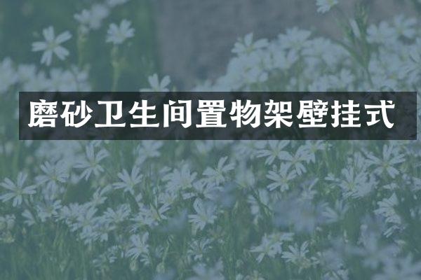 磨砂卫生间置物架壁挂式