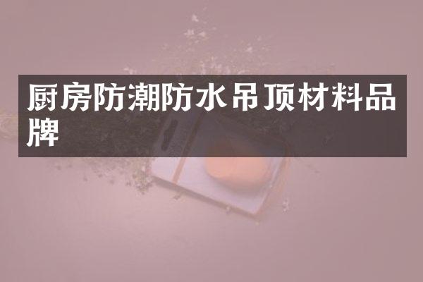 厨房防潮防水吊顶材料品牌