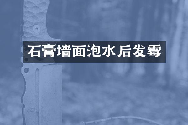 石膏墙面泡水后发霉