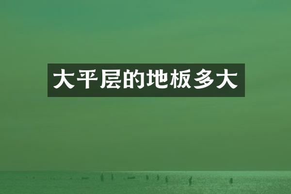 大平层的地板多大