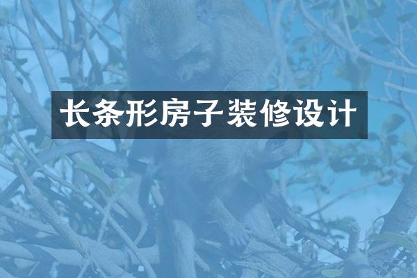 长条形房子装修设计