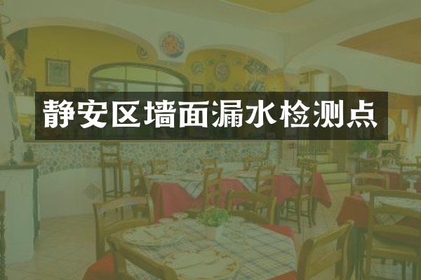 静安区墙面漏水检测点