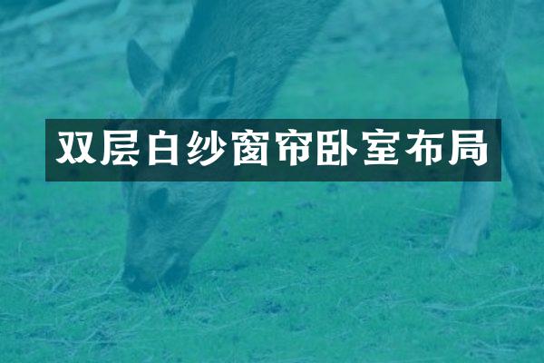 双层白纱窗帘卧室布局