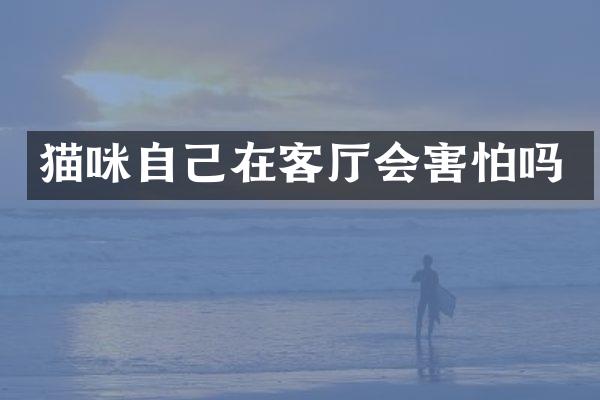 猫咪自己在客厅会害怕吗