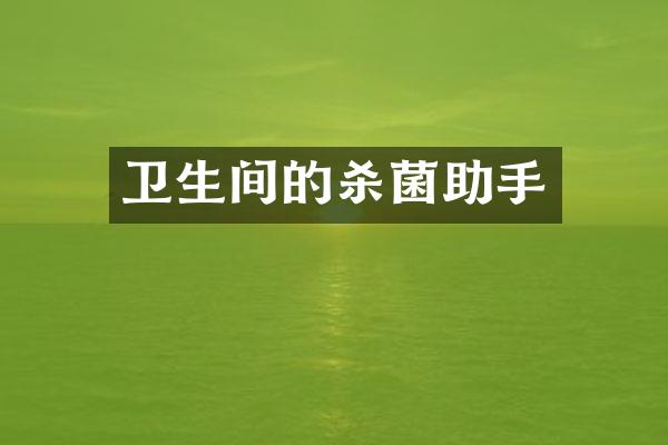 卫生间的杀菌助手
