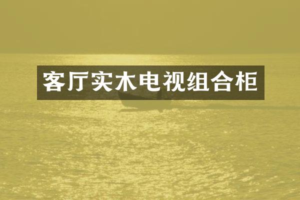 客厅实木电视组合柜