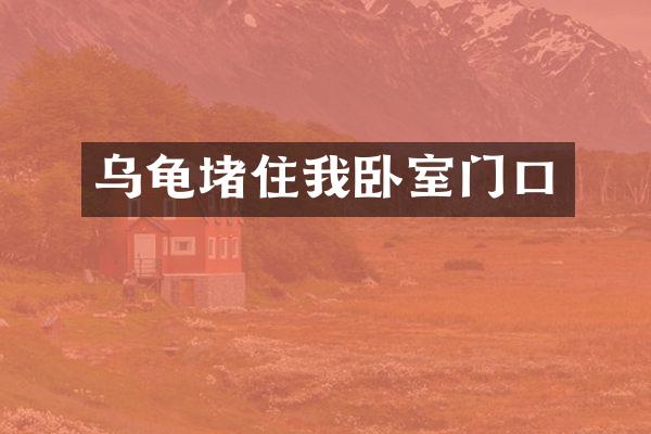 乌龟堵住我卧室门口
