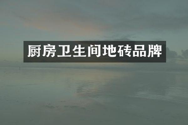 厨房卫生间地砖品牌