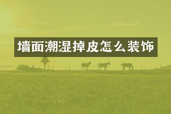 墙面潮湿掉皮怎么装饰
