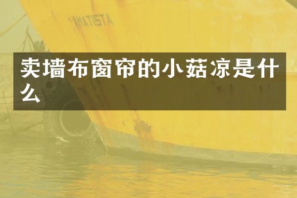 卖墙布窗帘的小菇凉是什么