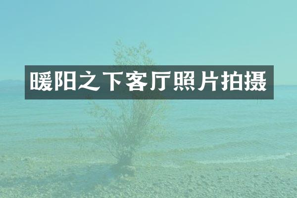 暖阳之下客厅照片拍摄