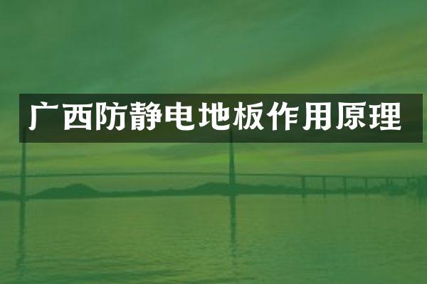 广西防静电地板作用原理